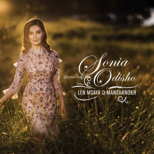 Cover for Len Msaya D Manshanokh
