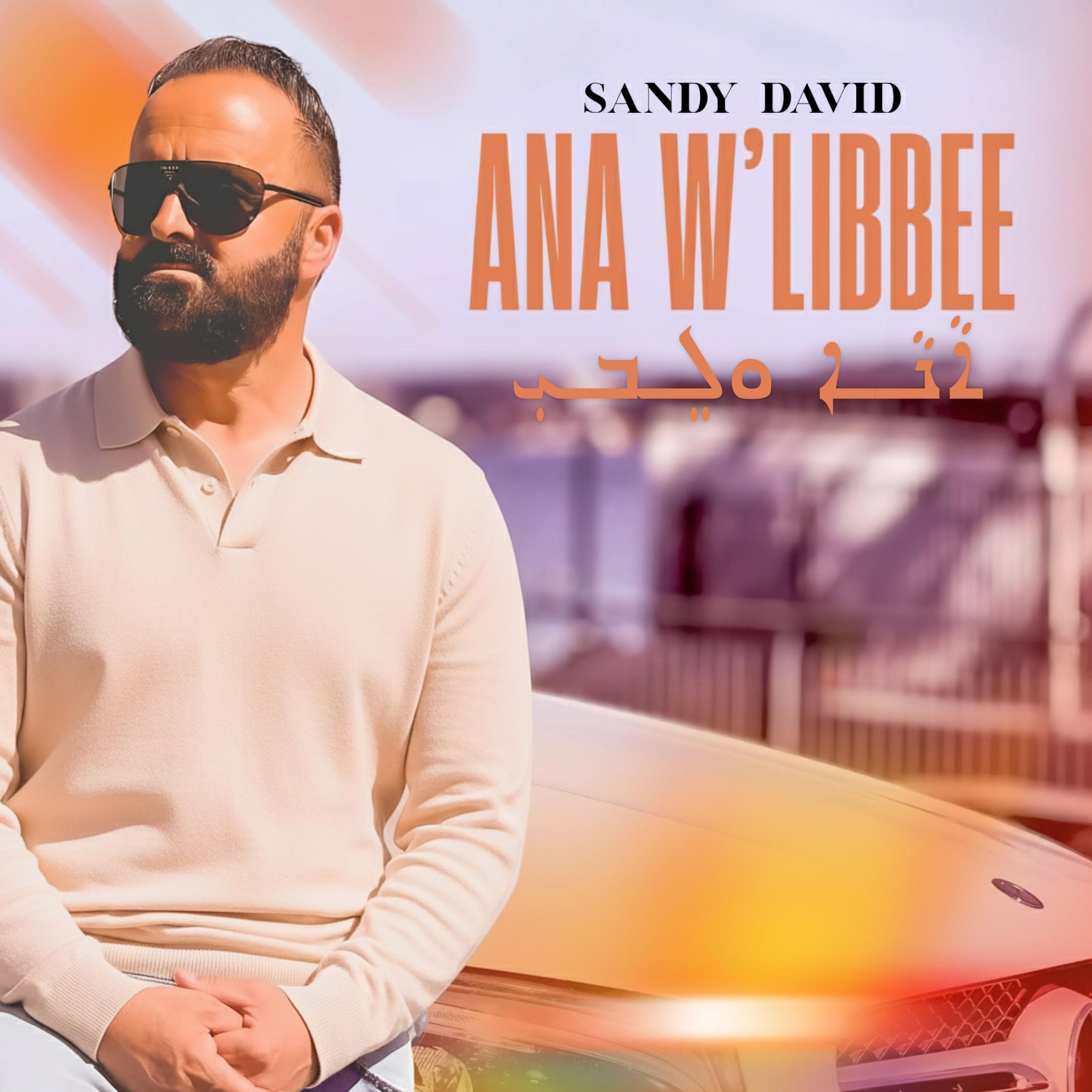 Ana W'Libbee cover